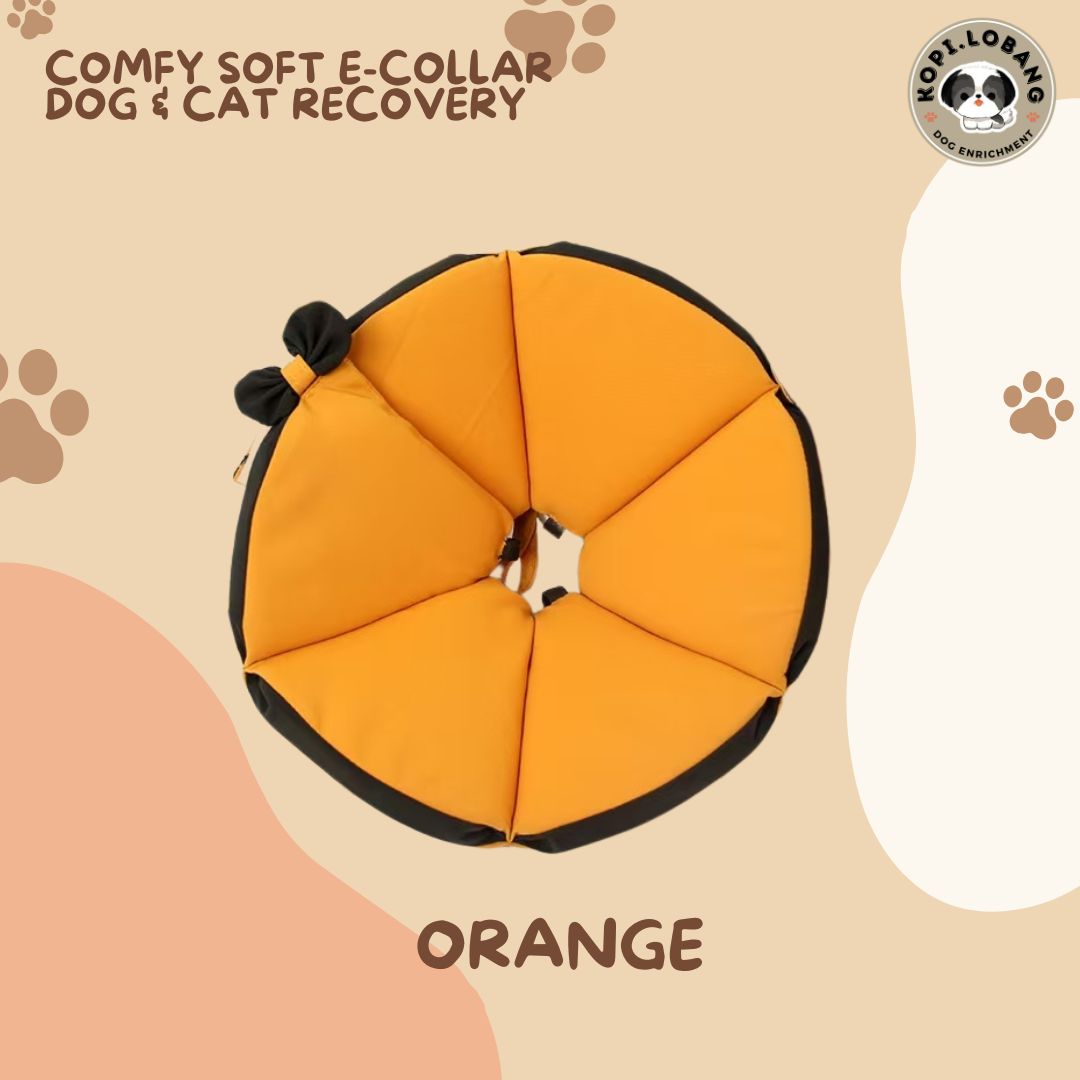 ✅[SG] [FAST] SOFT E-COLLAR COMFY TRIANGLE DOG & CAT RECOVERY CONE ★ FREE e-Guide on 5 Important Tips for Fast Pet Recovery ★