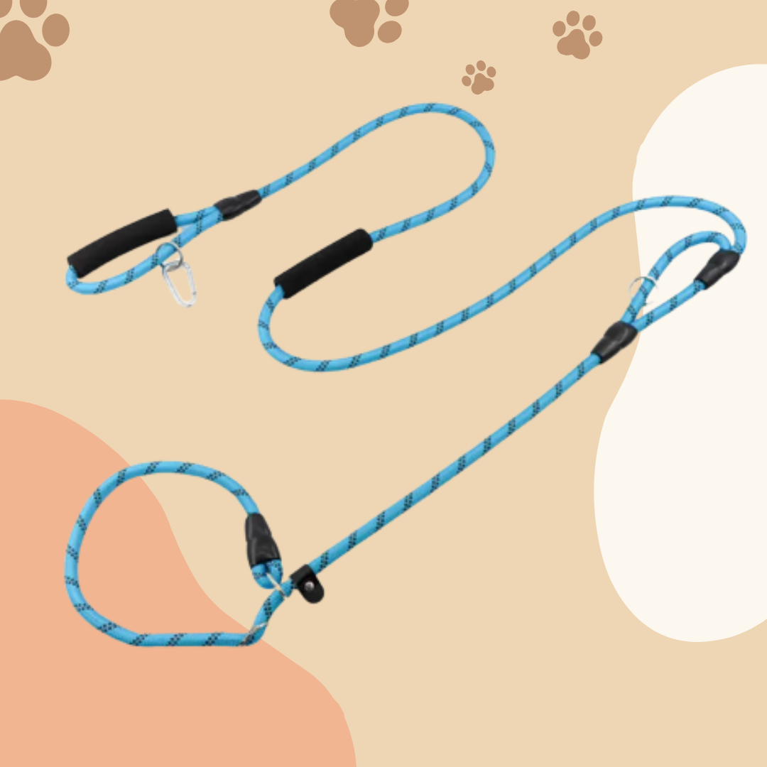 ✅[SG] MR. HANDS FREE SLIP LEASH NO-PULL 2.6 Metre ★ Loose Leash Walking & Training ★ FREE Loose Leash Walking e-Guide Worth $7