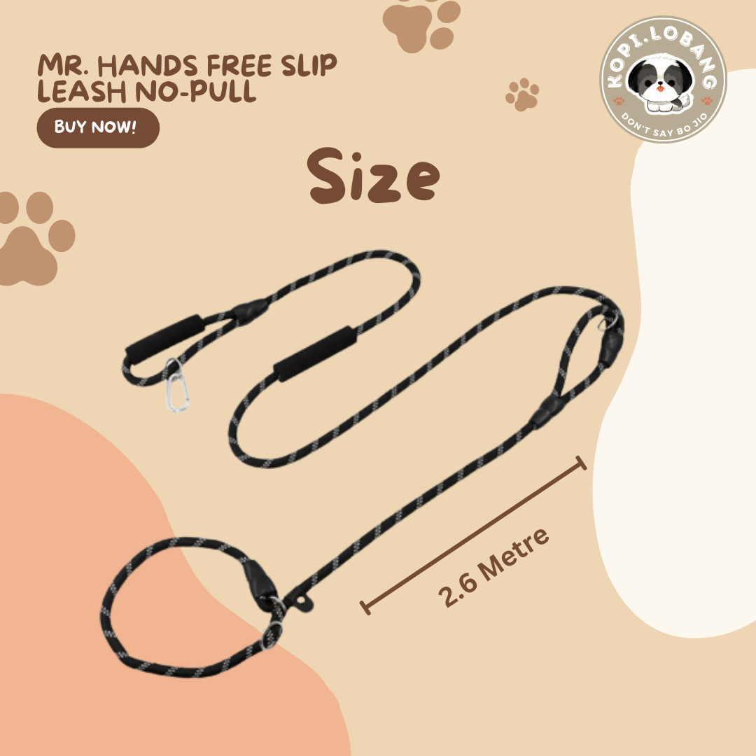 ✅[SG] MR. HANDS FREE SLIP LEASH NO-PULL 2.6 Metre ★ Loose Leash Walking & Training ★ FREE Loose Leash Walking e-Guide Worth $7