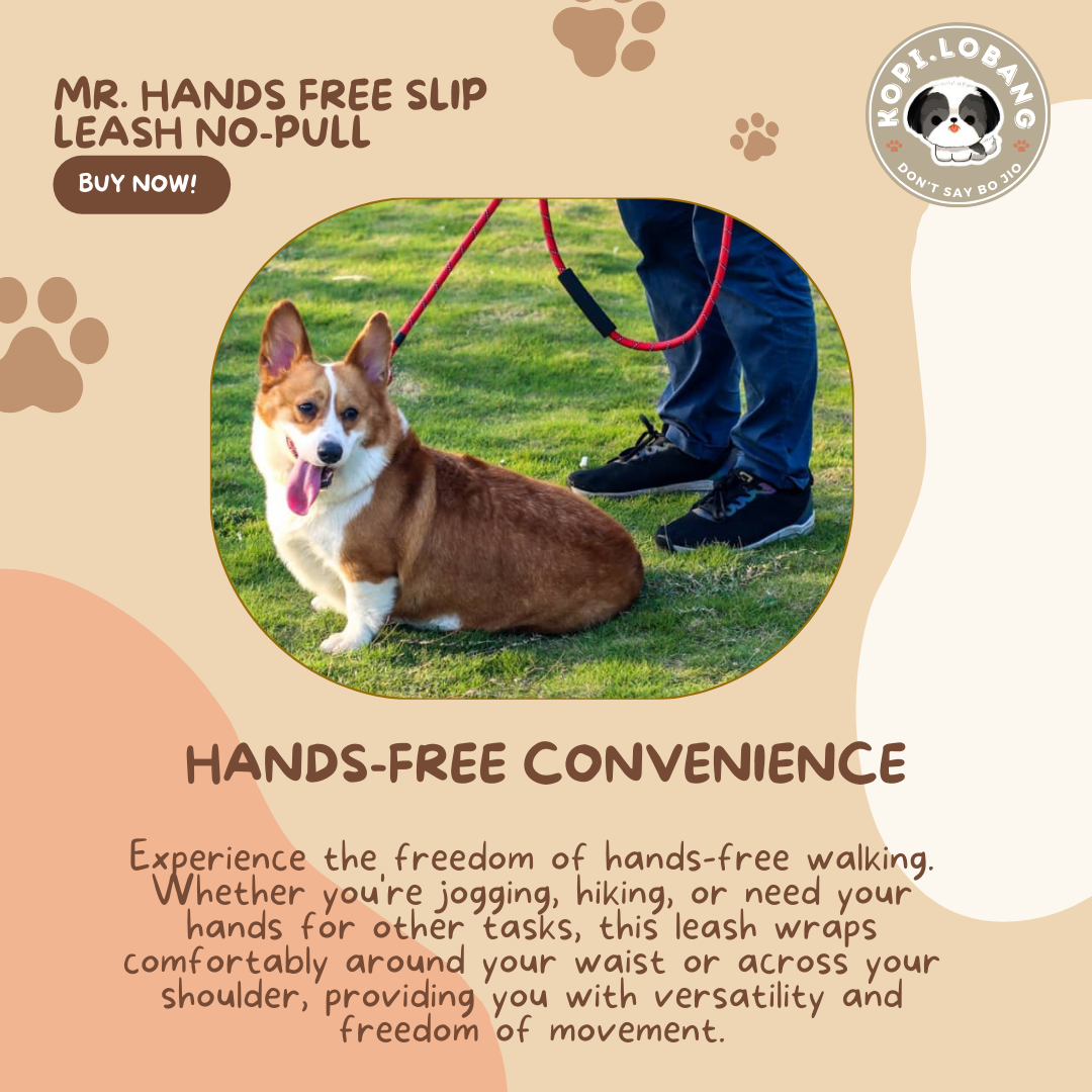 ✅[SG] MR. HANDS FREE SLIP LEASH NO-PULL 2.6 Metre ★ Loose Leash Walking & Training ★ FREE Loose Leash Walking e-Guide Worth $7