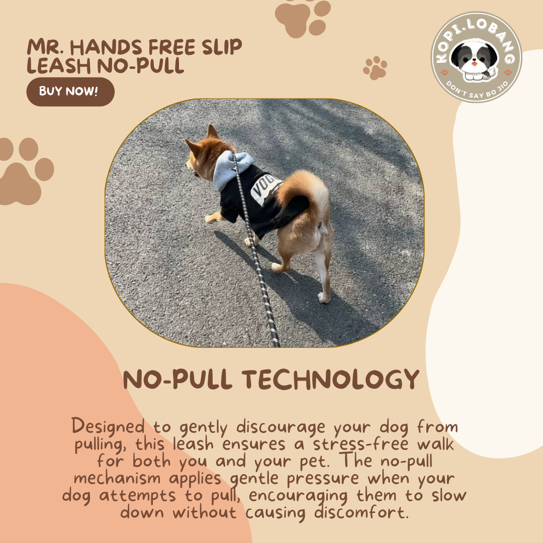 ✅[SG] MR. HANDS FREE SLIP LEASH NO-PULL 2.6 Metre ★ Loose Leash Walking & Training ★ FREE Loose Leash Walking e-Guide Worth $7