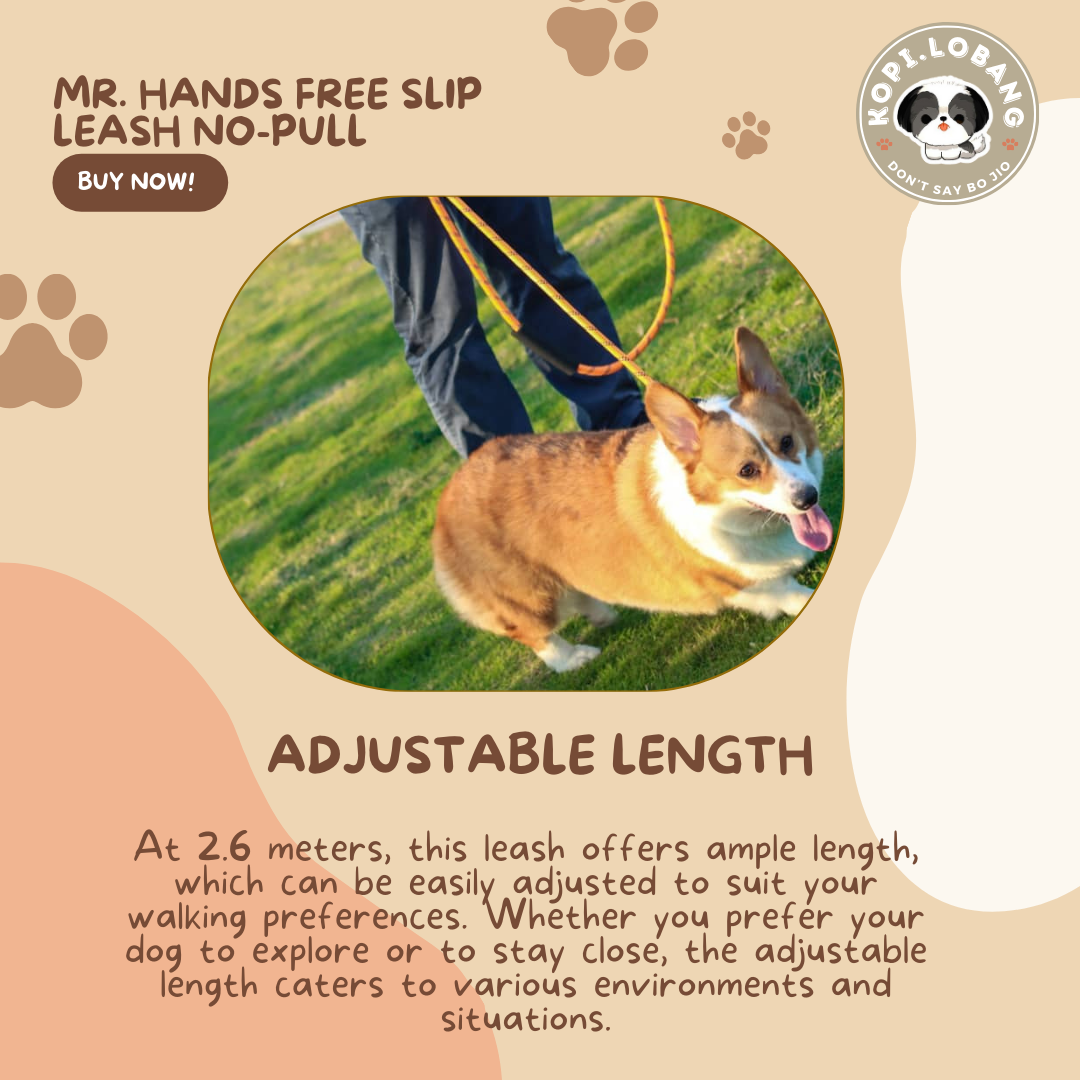 ✅[SG] MR. HANDS FREE SLIP LEASH NO-PULL 2.6 Metre ★ Loose Leash Walking & Training ★ FREE Loose Leash Walking e-Guide Worth $7