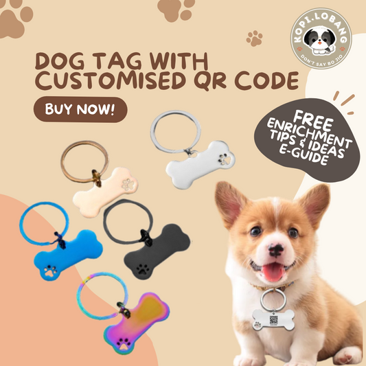 ✅[SG] DOG TAG WITH CUSTOMIZED QR CODE ★ FREE Dropbox Storage For Storing Your Dog's Info In Case Missing ★ Kopi Lobang