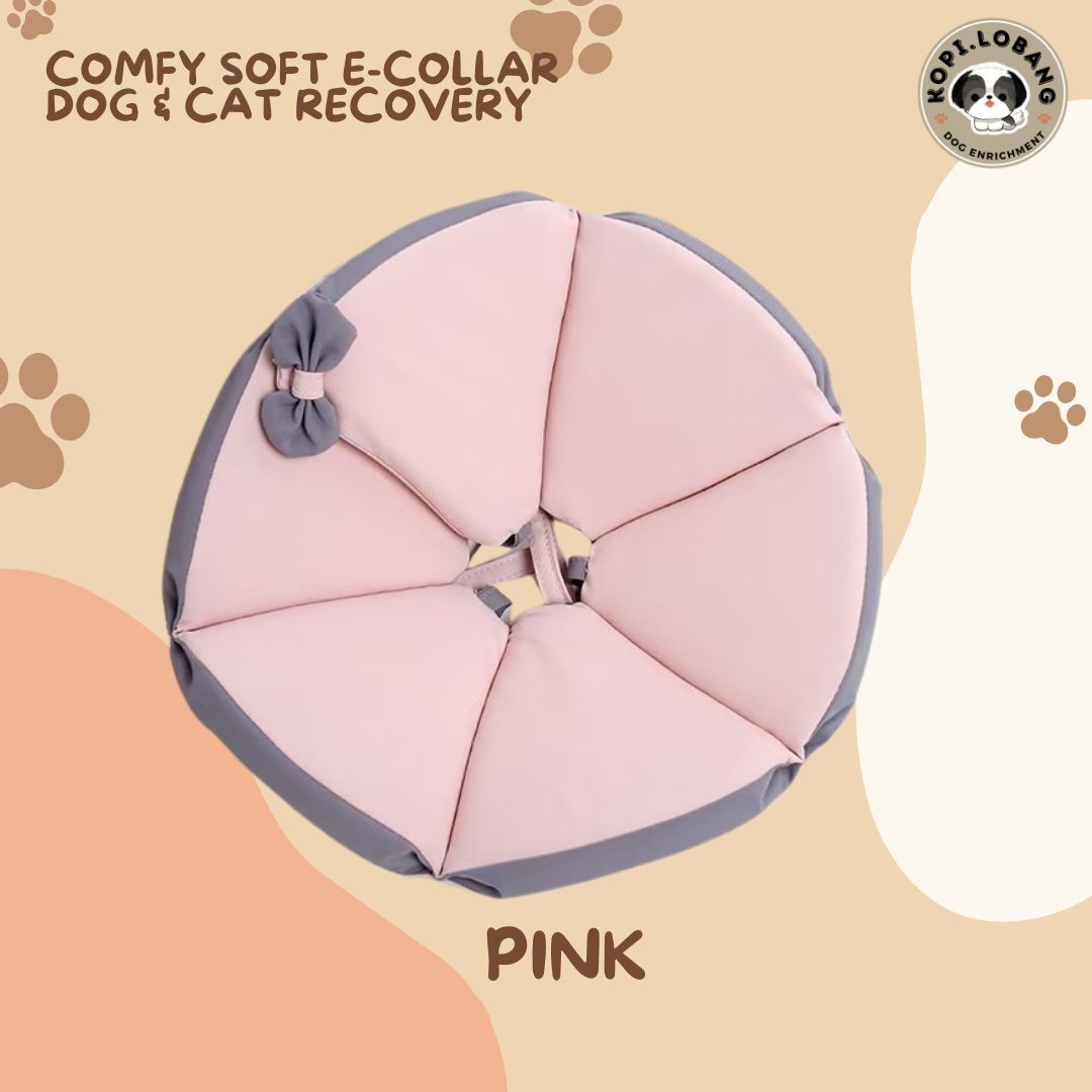 ✅[SG] [FAST] SOFT E-COLLAR COMFY TRIANGLE DOG & CAT RECOVERY CONE ★ FREE e-Guide on 5 Important Tips for Fast Pet Recovery ★