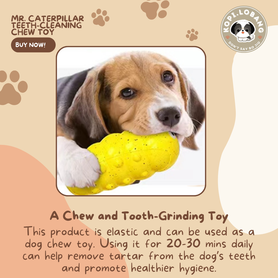 ✅[SG] MR. CATERPILLAR TEETH-CLEANING CHEW TOY ★ FREE Enrichment Tips & Ideas e-Guide Worth $7 ★ Pet Enrichment ★ SG Stock ★ Kopi Lobang