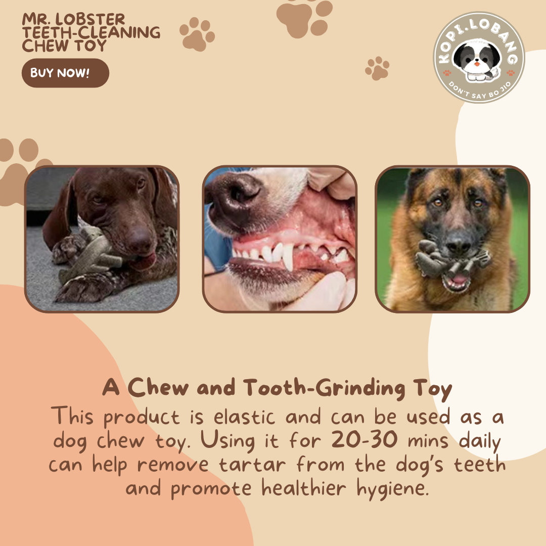 ✅[SG] MR. LOBSTER TEETH-CLEANING CHEW TOY ★ FREE Enrichment Tips & Ideas e-Guide Worth $7 ★ Pet Enrichment ★ SG Stock ★ Kopi Lobang