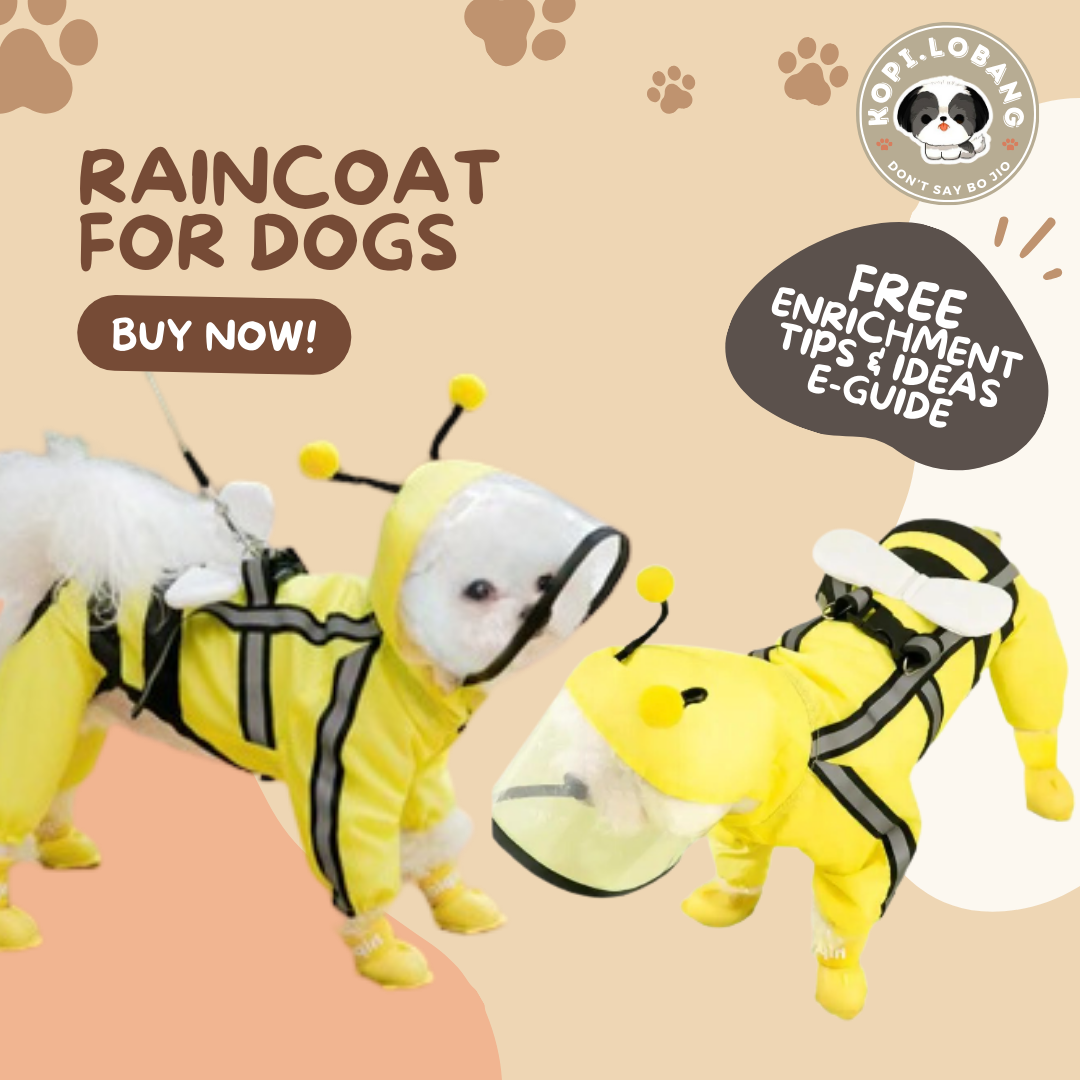 ✅[SG] DOG RAIN COAT ★ Dog Clothes ★ FREE Enrichment Tips & Ideas e-Guide Worth $7★ Enri