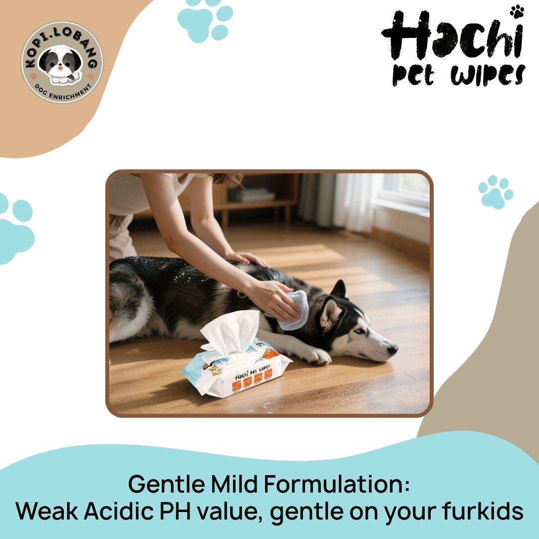 ✅[SG] HACHI Pet Wet Wipes | 12 Packs | 80 Super Jumbo 15x20CM Sheets Per Pack ★ Hypoallergenic | Plant-Based | Unscented | Alcohol-Free ★