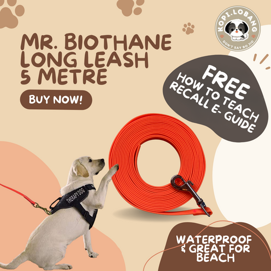 ✅[SG] MR. BIOTHANE LONG LEASH Waterproof 5 Metre & 10 Metre ★ Encourage Foraging Skills Training ★ FREE Recall Training e-Guide Worth $7 ★ For Dog Cat