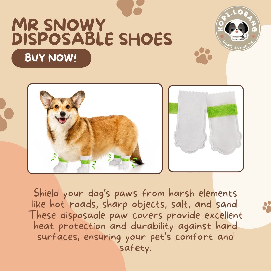 ✅[SG] MR SNOWY DISPOSABLE SHOES ★  FREE E-GUIDE HOW TO LOOSE LEASH WALKING ★ Enrichment ★ SG Stock ★ Kopi Lobang