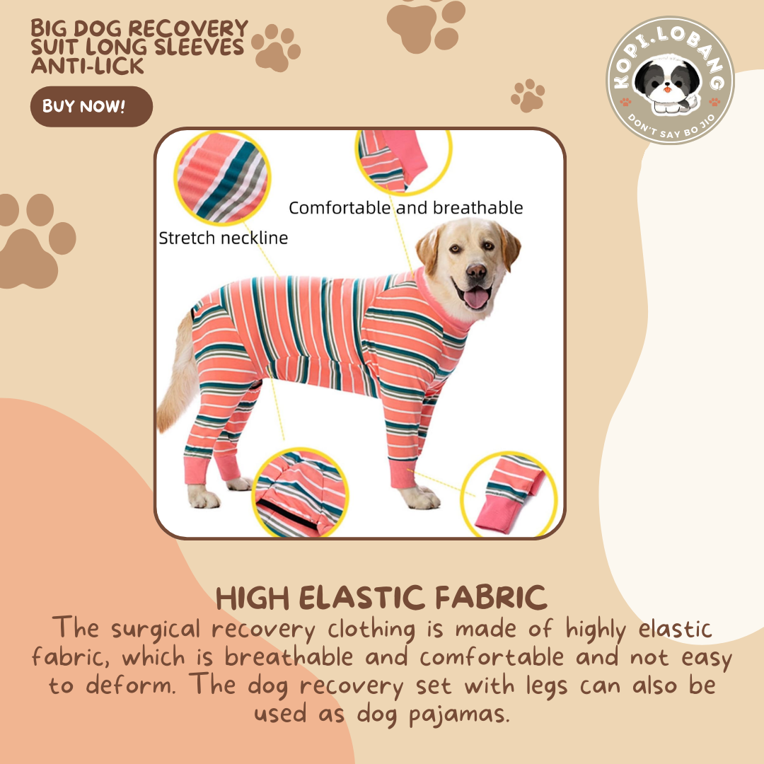 Big Dog Recovery Suit Long Sleeves Anti-Lick