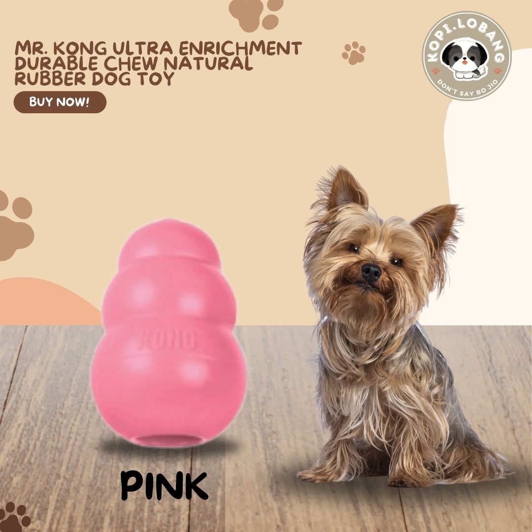 ✅[SG] MR. KONG ULTRA ENRICHMENT DURABLE CHEW NATURAL RUBBER DOG TOY ★ FREE Enrichment Tips & Ideas e-Guide Worth $7 ★ Enrichment ★ SG Stock ★ Kopi Lobang