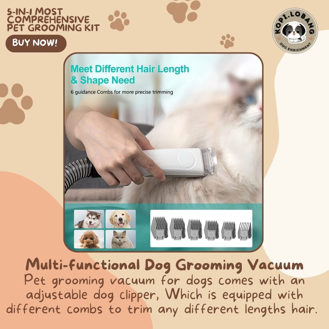 ✅[SG] 5-IN-1 MOST COMPREHENSIVE PET GROOMING KIT ★ FOR DOG AND CAT FREE Enrichment Tips & Ideas e-Guide Worth $7 ★ Pet Enrichment ★ SG Stock ★ Kopi Lobang