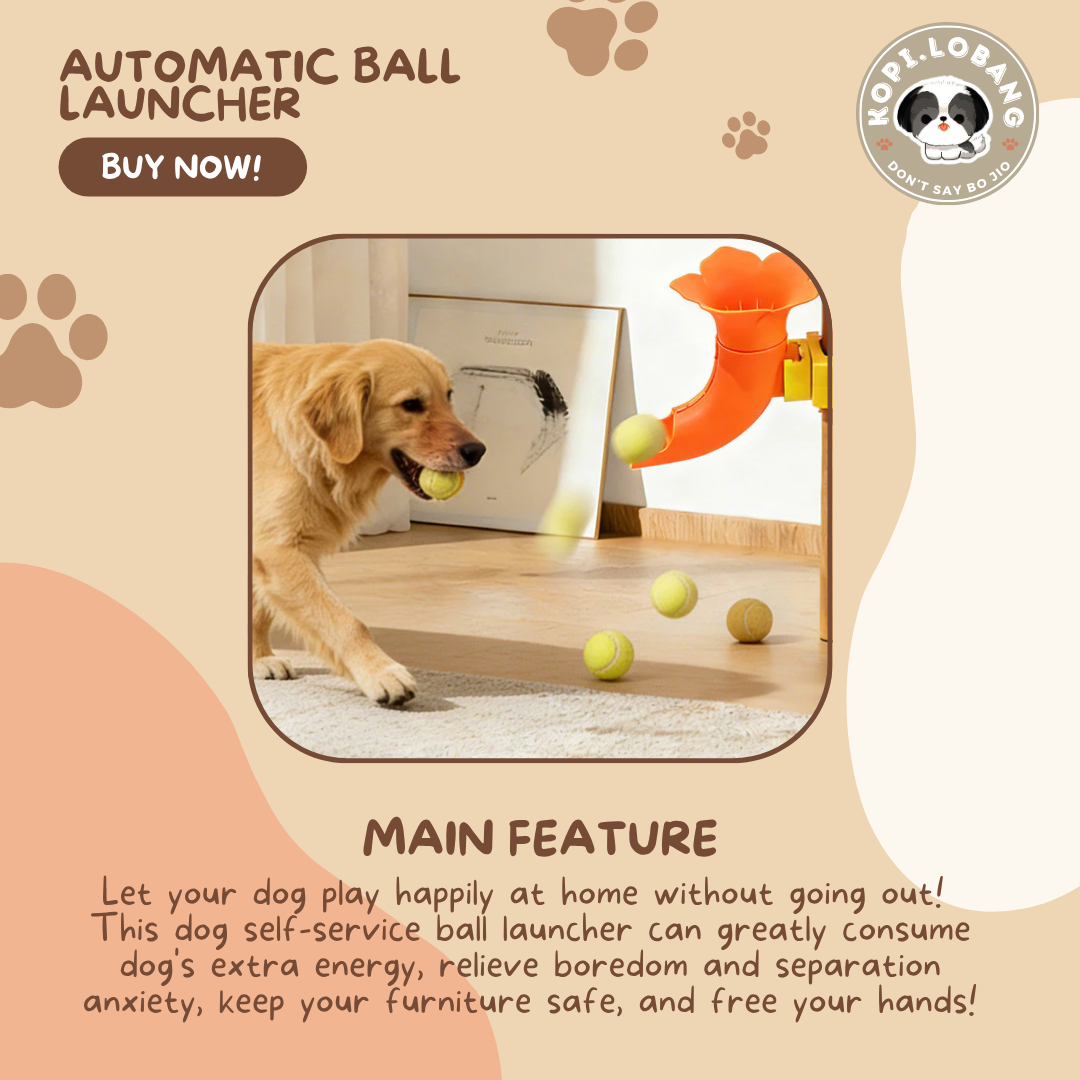 ✅[SG] Automatic Dog Tennis Ball Launcher | Smart Interactive Fetch Toy | Indoor Exercise | Boredom Relief & Training