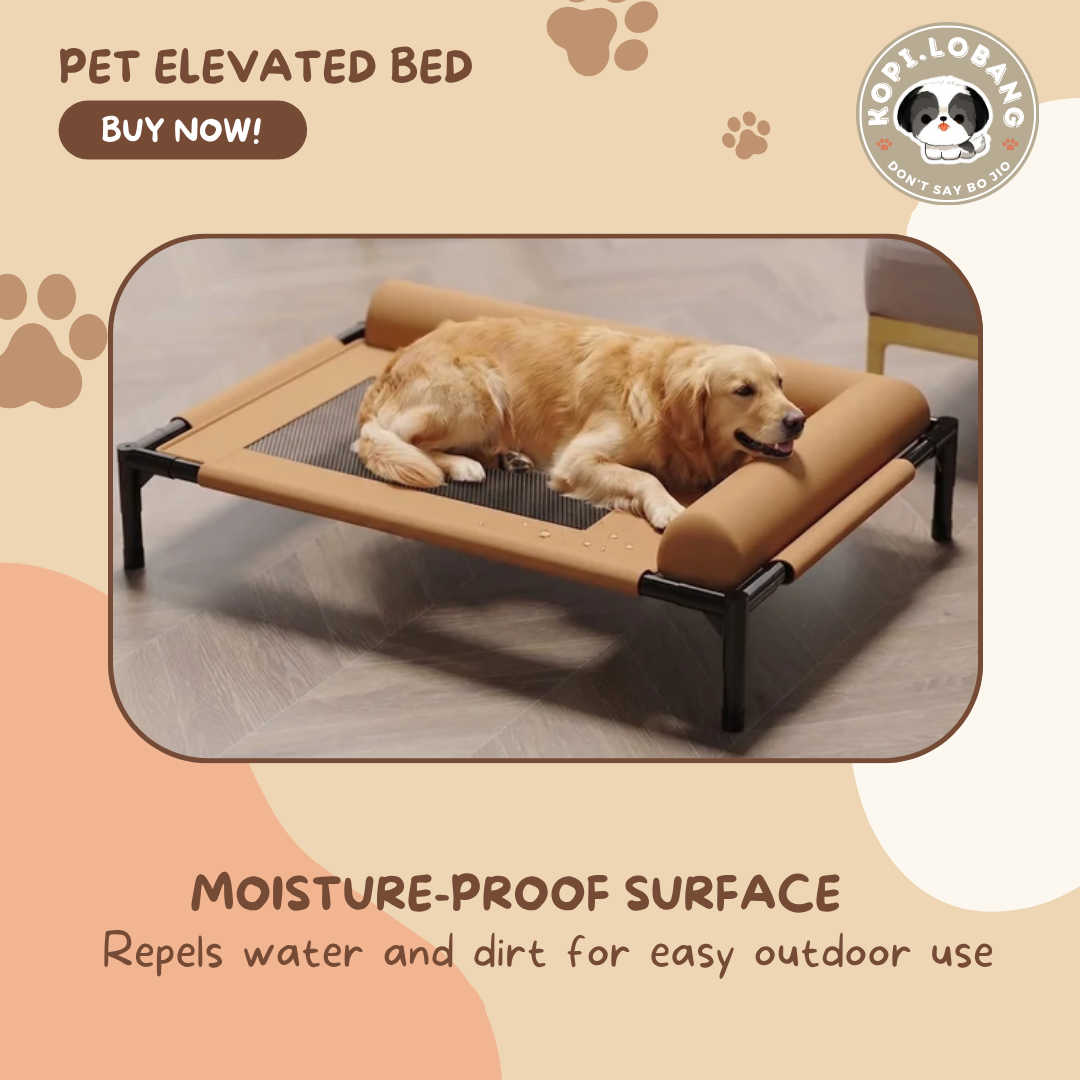 ✅[SG] Elevated Pet Bed for Dogs & Cats | Breathable & Durable Pet Bed | Easy Clean