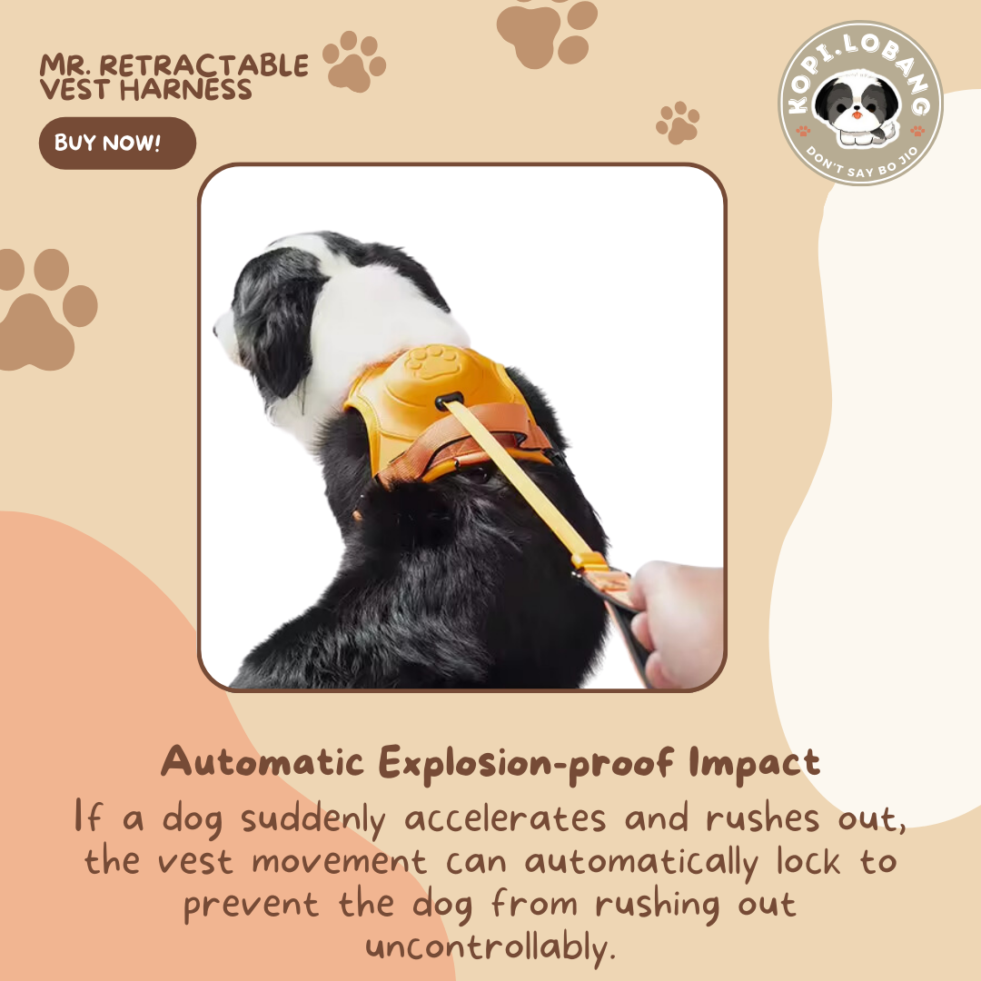 ✅[SG] MR. RETRACTABLE VEST HARNESS ★ FREE Enrichment Tips & Ideas e-Guide Worth $7 ★ Pet Enrichment ★ SG Stock ★ Kopi Lobang