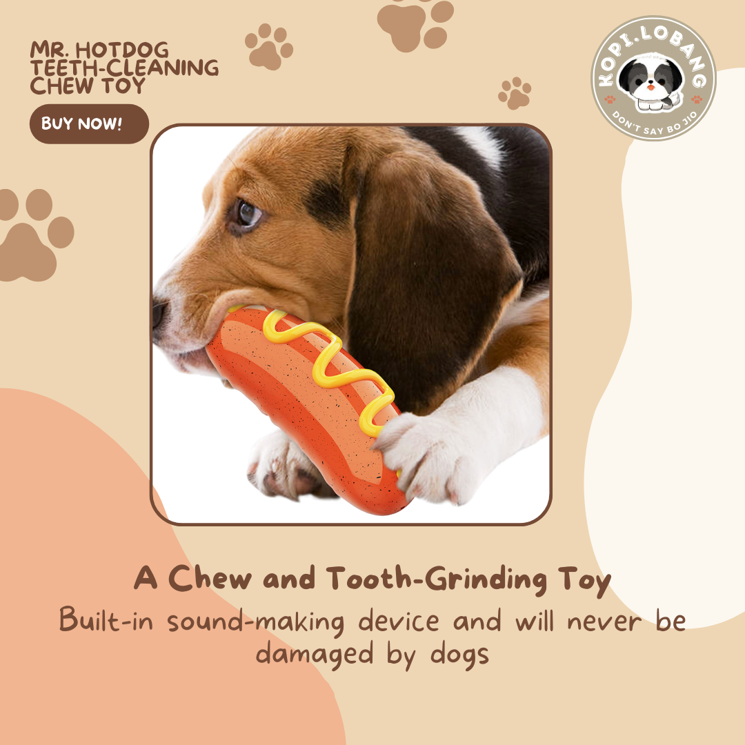 ✅[SG] MR. HOTDOG TEETH-CLEANING CHEW TOY ★ FREE Enrichment Tips & Ideas e-Guide Worth $7 ★ Pet Enrichment ★ SG Stock ★ Kopi Lobang