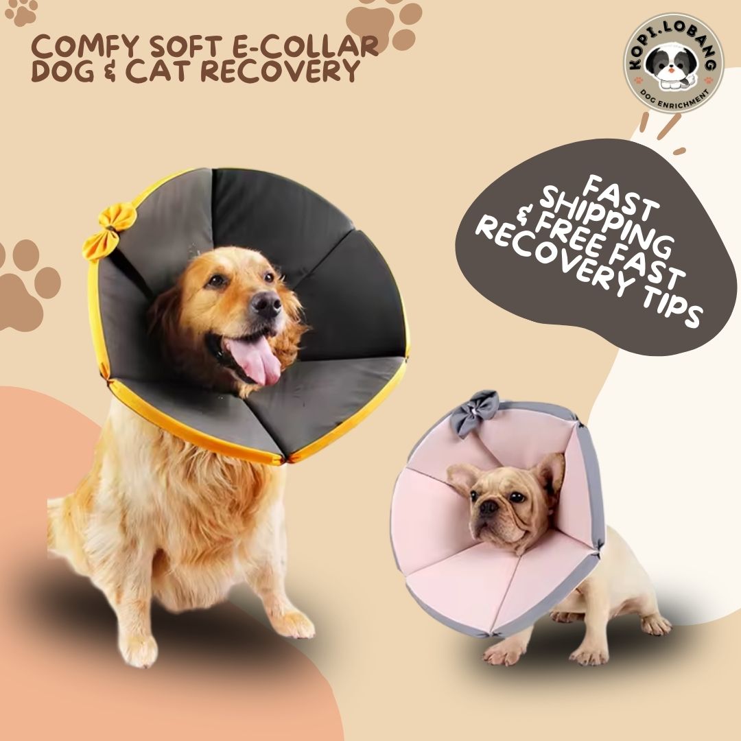 ✅[SG] [FAST] COMFY SOFT E-COLLAR DOG & CAT  RECOVERY CONE ★ FREE e-Guide on 5 Important Tips for Fast Pet Recovery ★