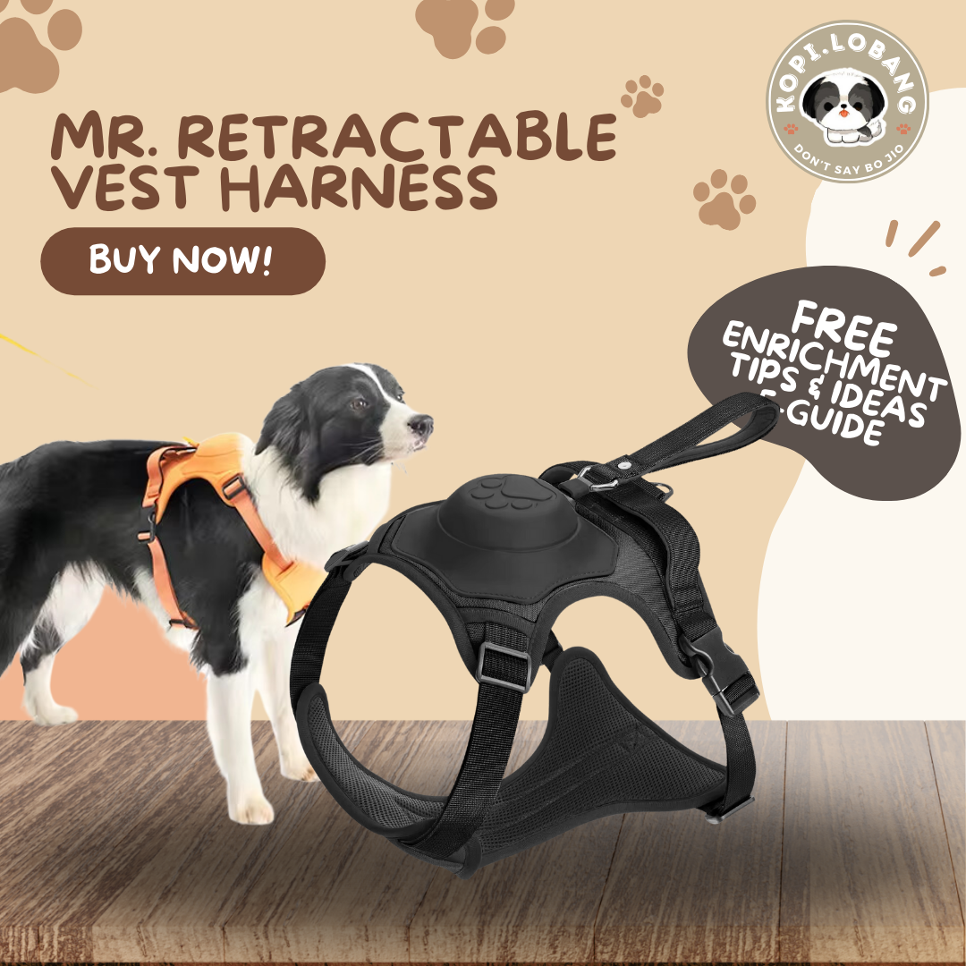 ✅[SG] MR. RETRACTABLE VEST HARNESS ★ FREE Enrichment Tips & Ideas e-Guide Worth $7 ★ Pet Enrichment ★ SG Stock ★ Kopi Lobang