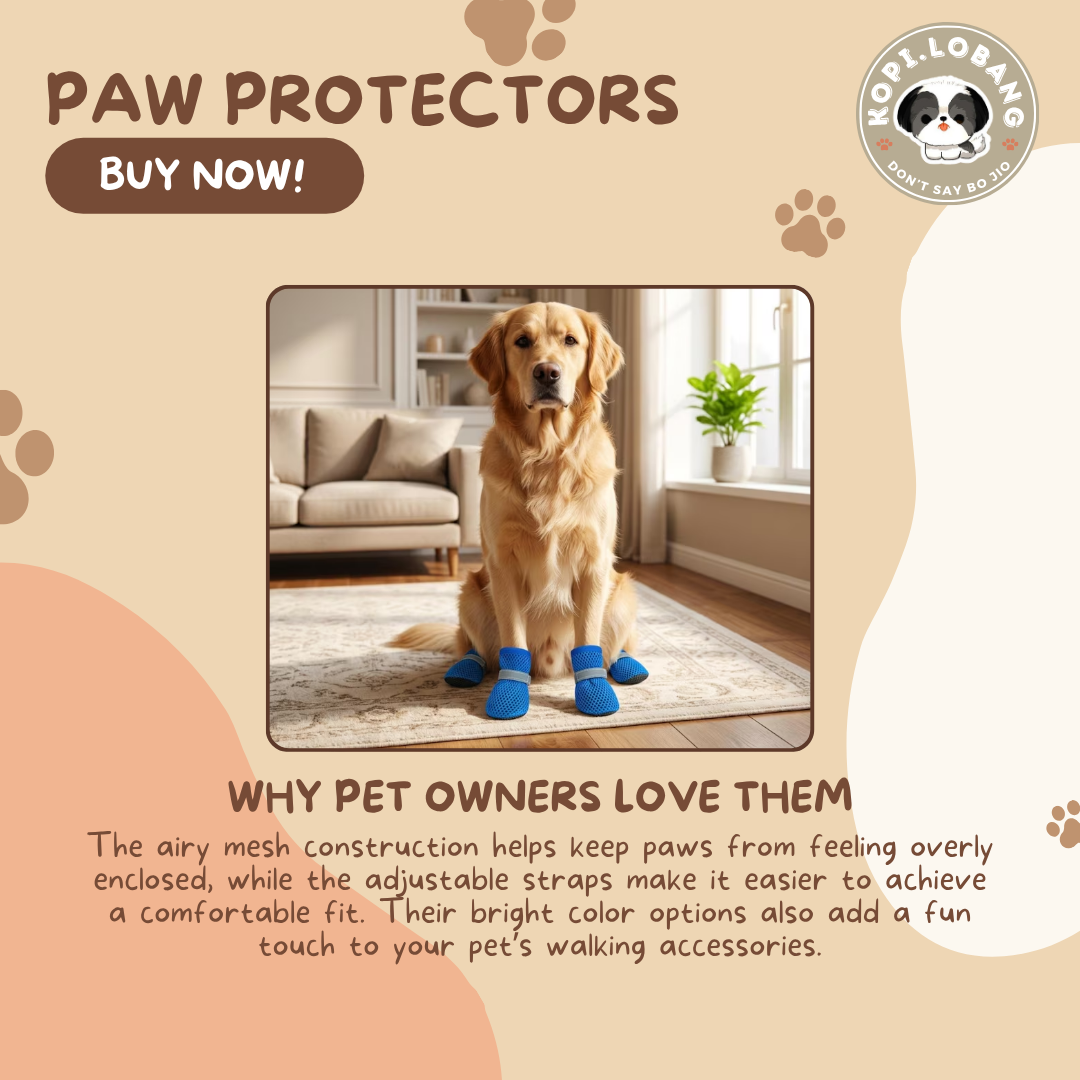 ✅[SG] Paw Protector ★ Enrichment ★ SG Stock ★ Kopi Lobang