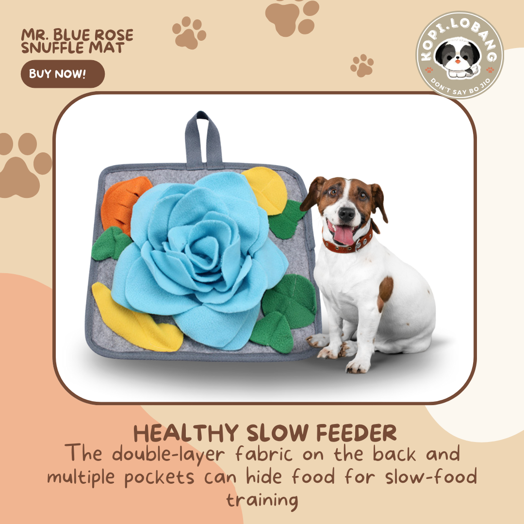 ✅[SG] MR. BLUE ROSE SNUFFLE MAT ★ Nosework Training ★ FREE Enrichment Tips & Ideas e-Guide Worth $7 ★ Pet Enrichment ★ SG Stock ★ Kopi Lobang