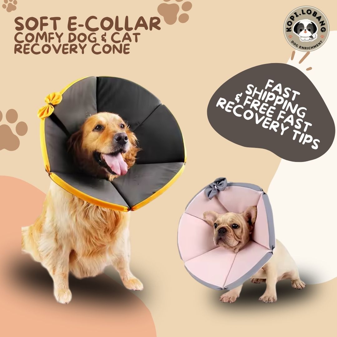 ✅[SG] [FAST] SOFT E-COLLAR COMFY TRIANGLE DOG & CAT RECOVERY CONE ★ FREE e-Guide on 5 Important Tips for Fast Pet Recovery ★