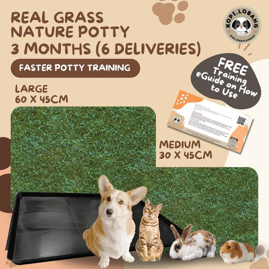 ✅[SG] 3 MONTHS (6 DELIVERIES) REAL GRASS NATURE POTTY ★ FREE Training e-Guide Worth $7 ★ SG Stock ★ Kopi Lobang ★ The First Pet Potty Real Grass in Singapore ★ Perfect for Gift