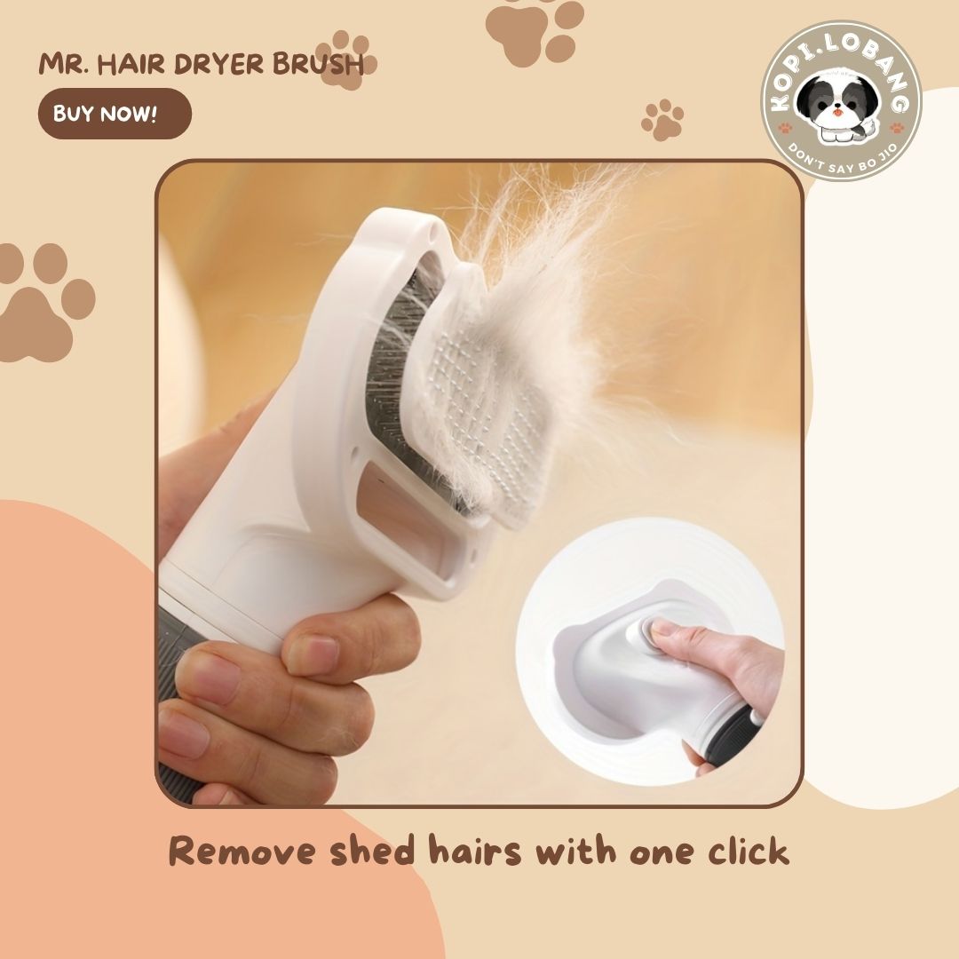 ✅[SG] MR. HAIR DRYER BRUSH ★ FOR DOG AND CAT FREE Enrichment Tips & Ideas e-Guide Worth $7 ★ Pet Enrichment ★ SG Stock ★ Kopi Lobang