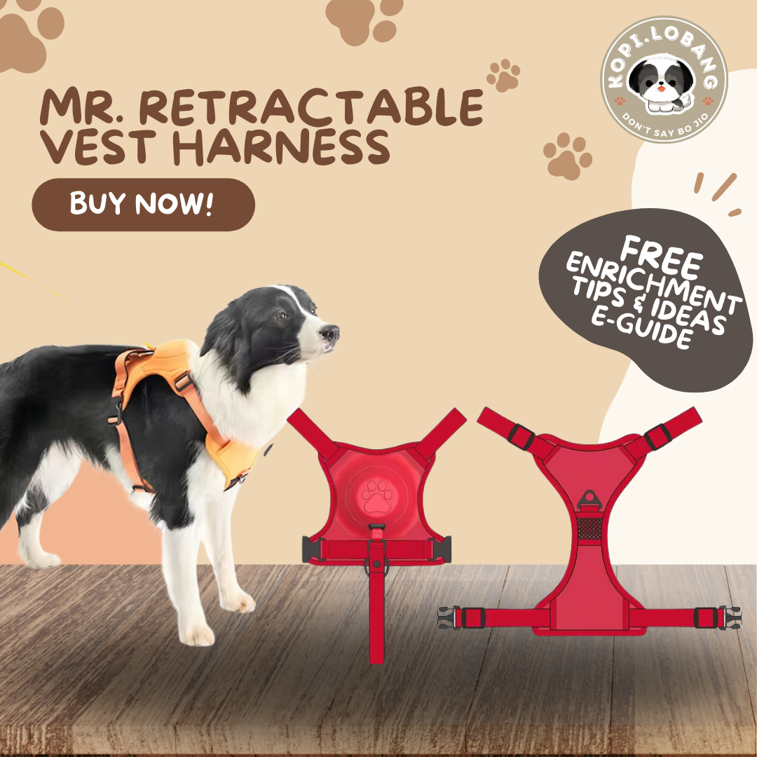 ✅[SG] MR. RETRACTABLE VEST HARNESS ★ FREE Enrichment Tips & Ideas e-Guide Worth $7 ★ Pet Enrichment ★ SG Stock ★ Kopi Lobang