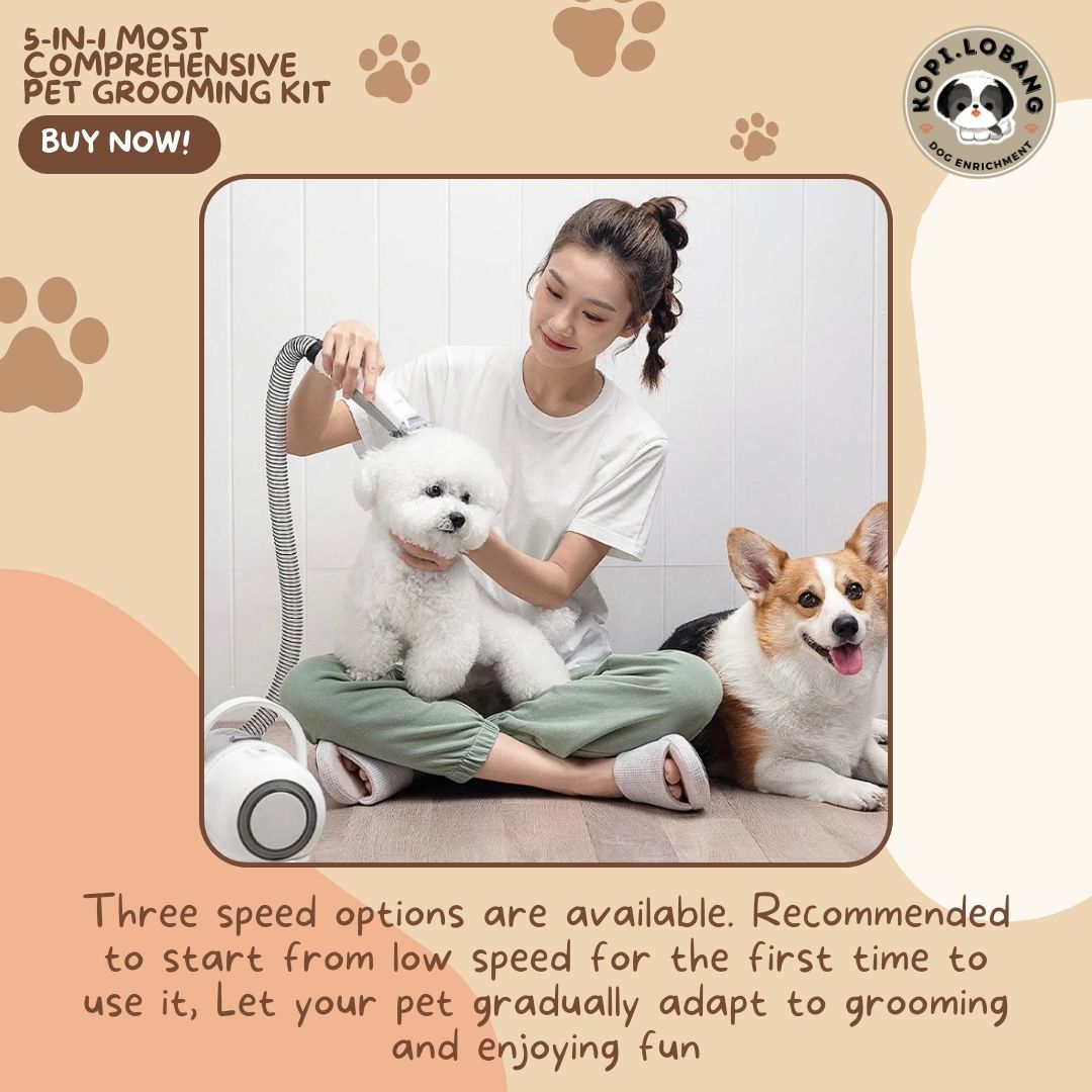 ✅[SG] 5-IN-1 MOST COMPREHENSIVE PET GROOMING KIT ★ FOR DOG AND CAT FREE Enrichment Tips & Ideas e-Guide Worth $7 ★ Pet Enrichment ★ SG Stock ★ Kopi Lobang