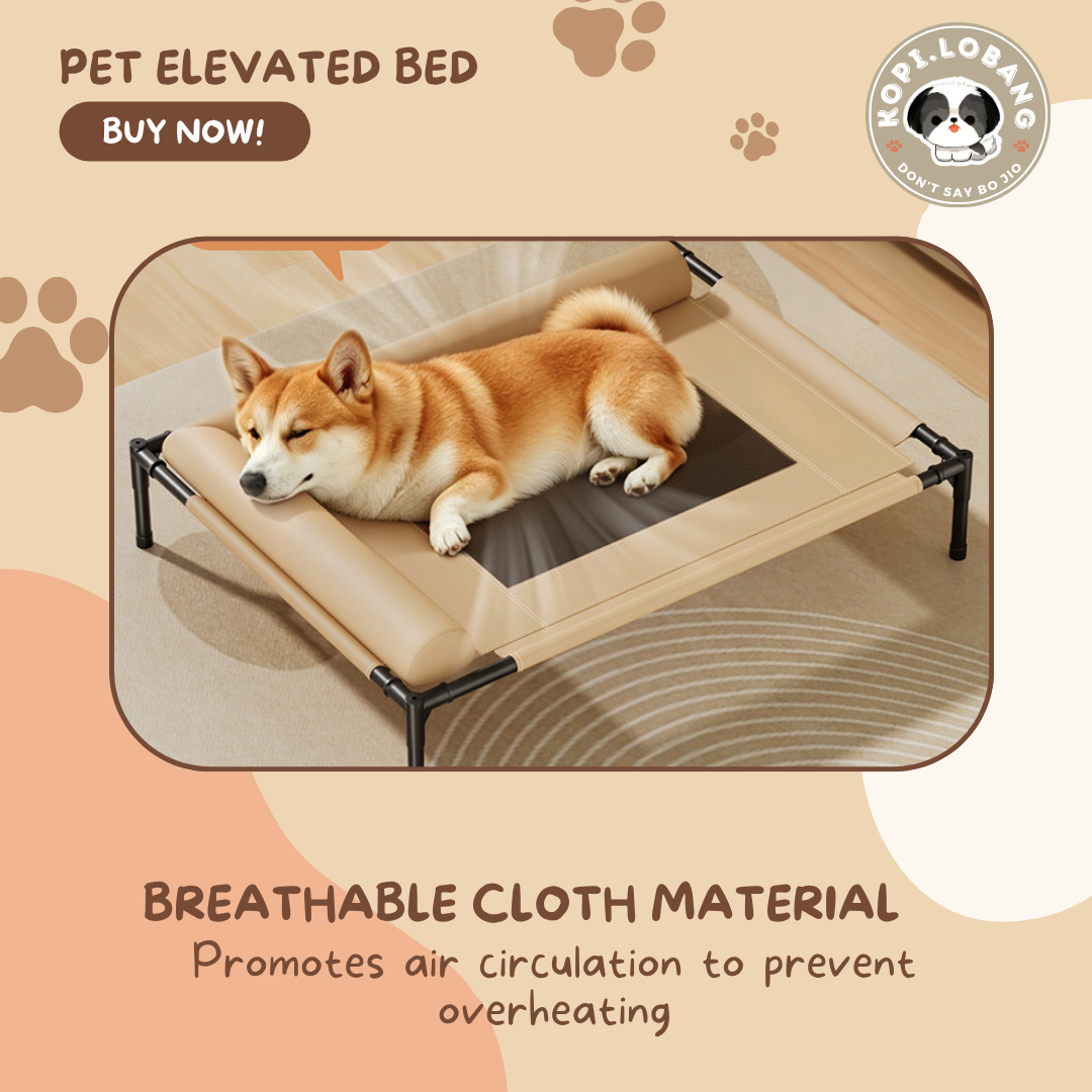 ✅[SG] Elevated Pet Bed for Dogs & Cats | Breathable & Durable Pet Bed | Easy Clean