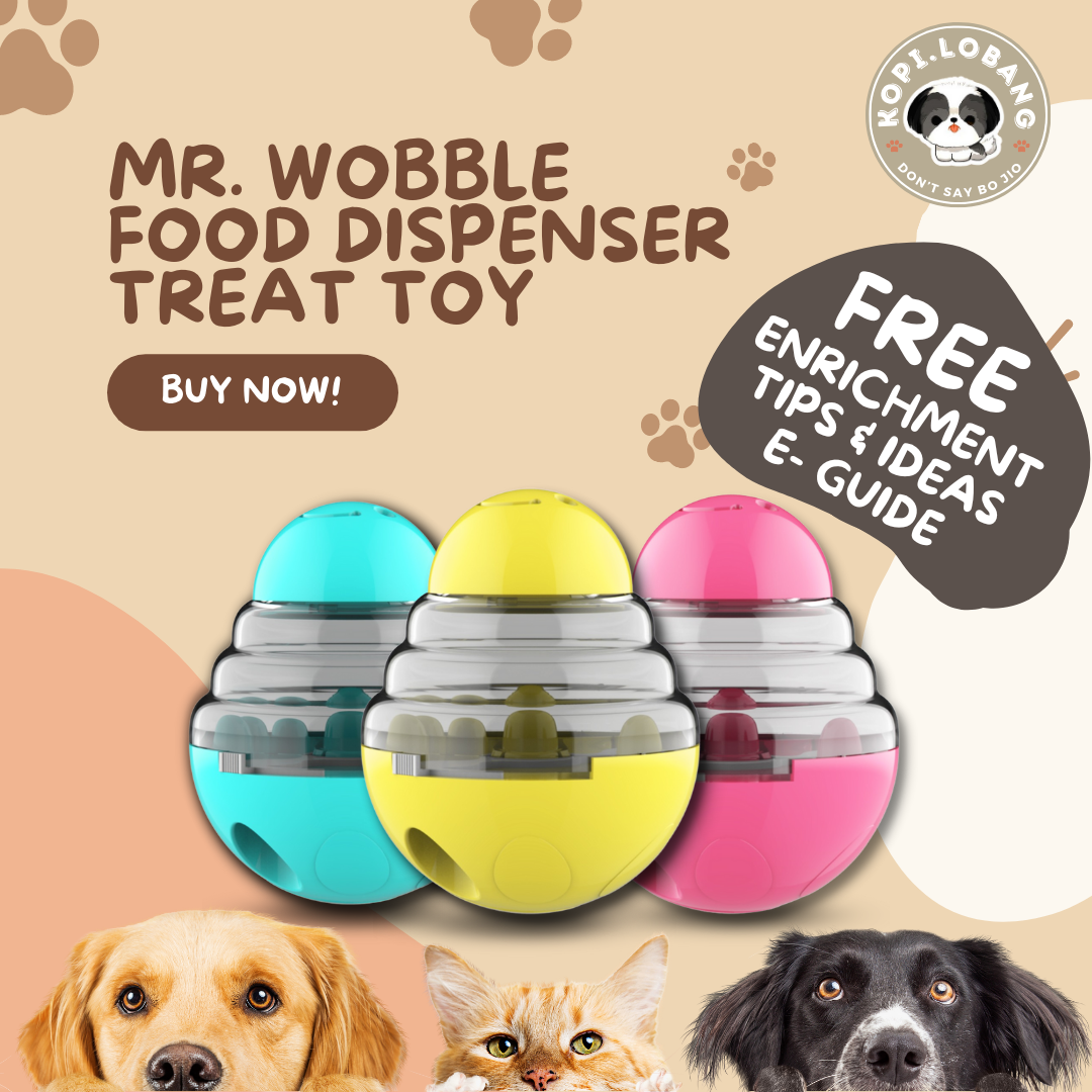 ✅[SG] MR. WOBBLE FOOD FEEDER TREAT DISPENSER TOY FOR DOG AND CAT★ FREE Enrichment Tips & Ideas e-Guide  Worth $7 ★Slow Feeding Train