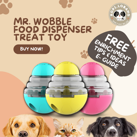 ✅[SG] MR. WOBBLE FOOD FEEDER TREAT DISPENSER TOY FOR DOG AND CAT★ FREE Enrichment Tips & Ideas e-Guide  Worth $7 ★Slow Feeding Train