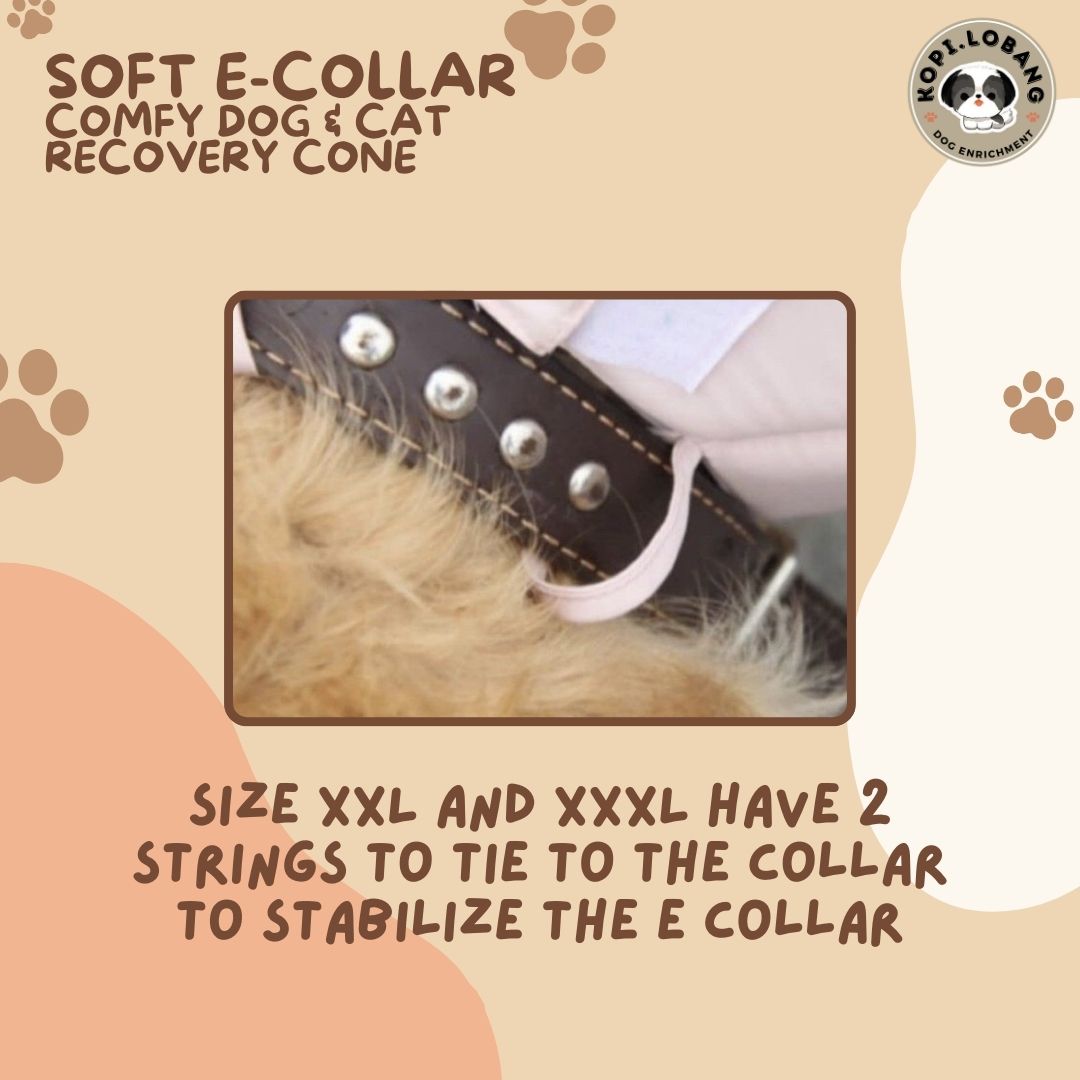 ✅[SG] [FAST] SOFT E-COLLAR COMFY TRIANGLE DOG & CAT RECOVERY CONE ★ FREE e-Guide on 5 Important Tips for Fast Pet Recovery ★