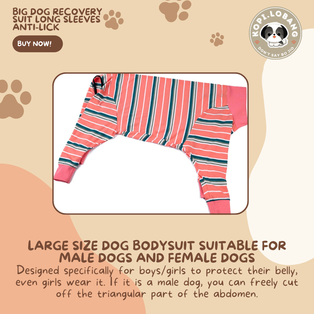 Big Dog Recovery Suit Long Sleeves Anti-Lick