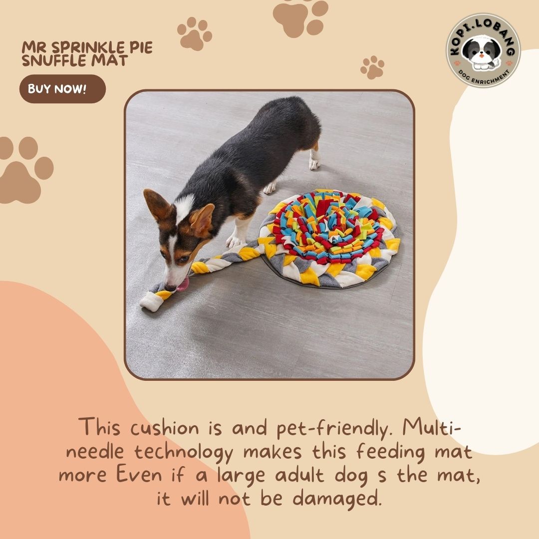 ✅[SG] MR SPRINKLE PIE SNUFFLE MAT ★ Nosework Training ★ FREE Enrichment Tips & Ideas e-Guide Worth $7 ★ Pet Enrichment ★ SG Stock ★ Kopi Lobang