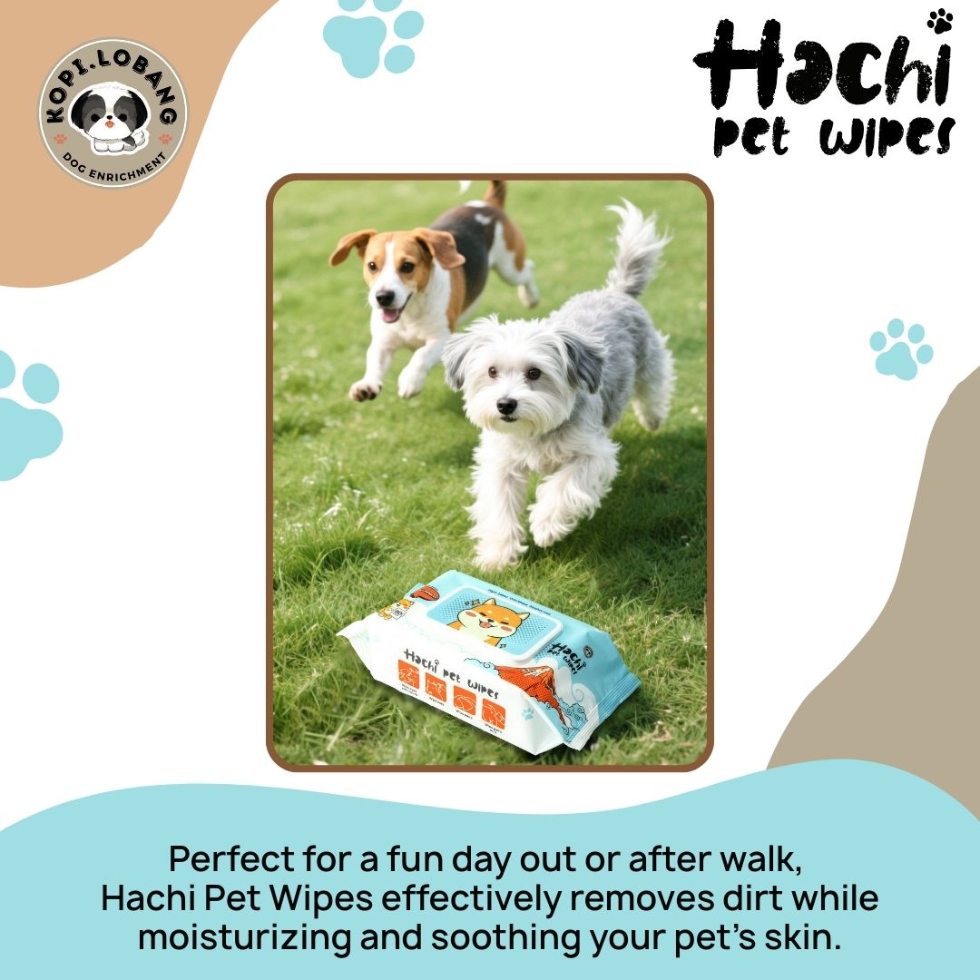 ✅[SG] HACHI Pet Wet Wipes | 12 Packs | 80 Super Jumbo 15x20CM Sheets Per Pack ★ Hypoallergenic | Plant-Based | Unscented | Alcohol-Free ★