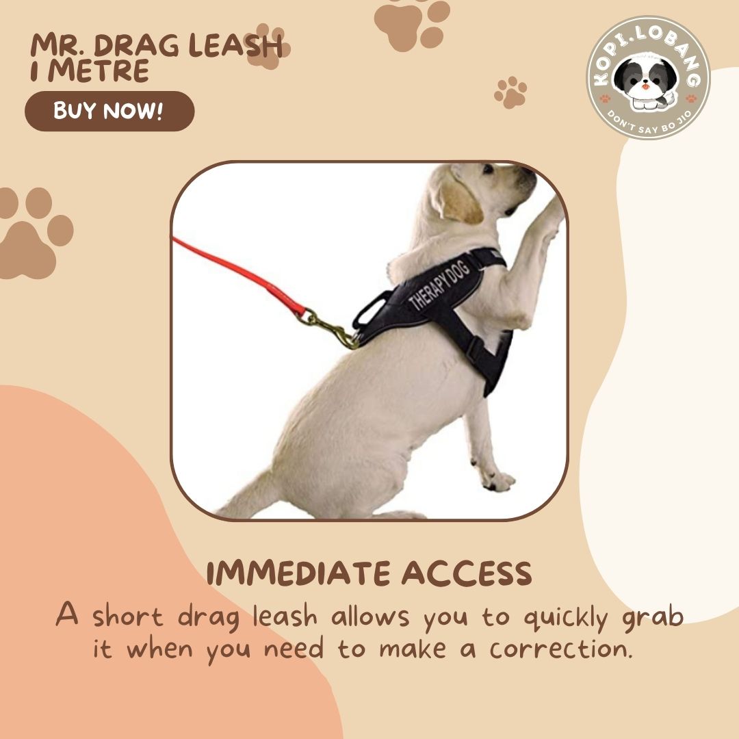 ✅[SG] Mr. Drag Leash 1 Meter For Better Control At Home ★ FREE Enrichment Tips & Ideas e-Guide Worth $7 ★ Enrichment ★ SG Stock ★ Kopi Lobang