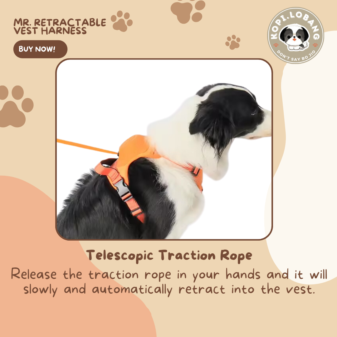 ✅[SG] MR. RETRACTABLE VEST HARNESS ★ FREE Enrichment Tips & Ideas e-Guide Worth $7 ★ Pet Enrichment ★ SG Stock ★ Kopi Lobang