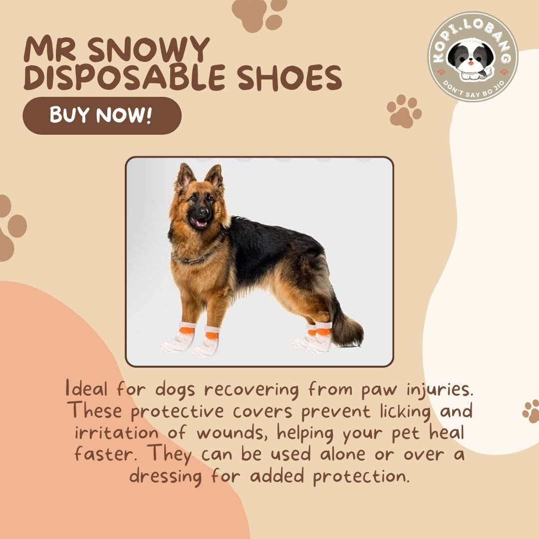 ✅[SG] MR SNOWY DISPOSABLE SHOES ★  FREE E-GUIDE HOW TO LOOSE LEASH WALKING ★ Enrichment ★ SG Stock ★ Kopi Lobang