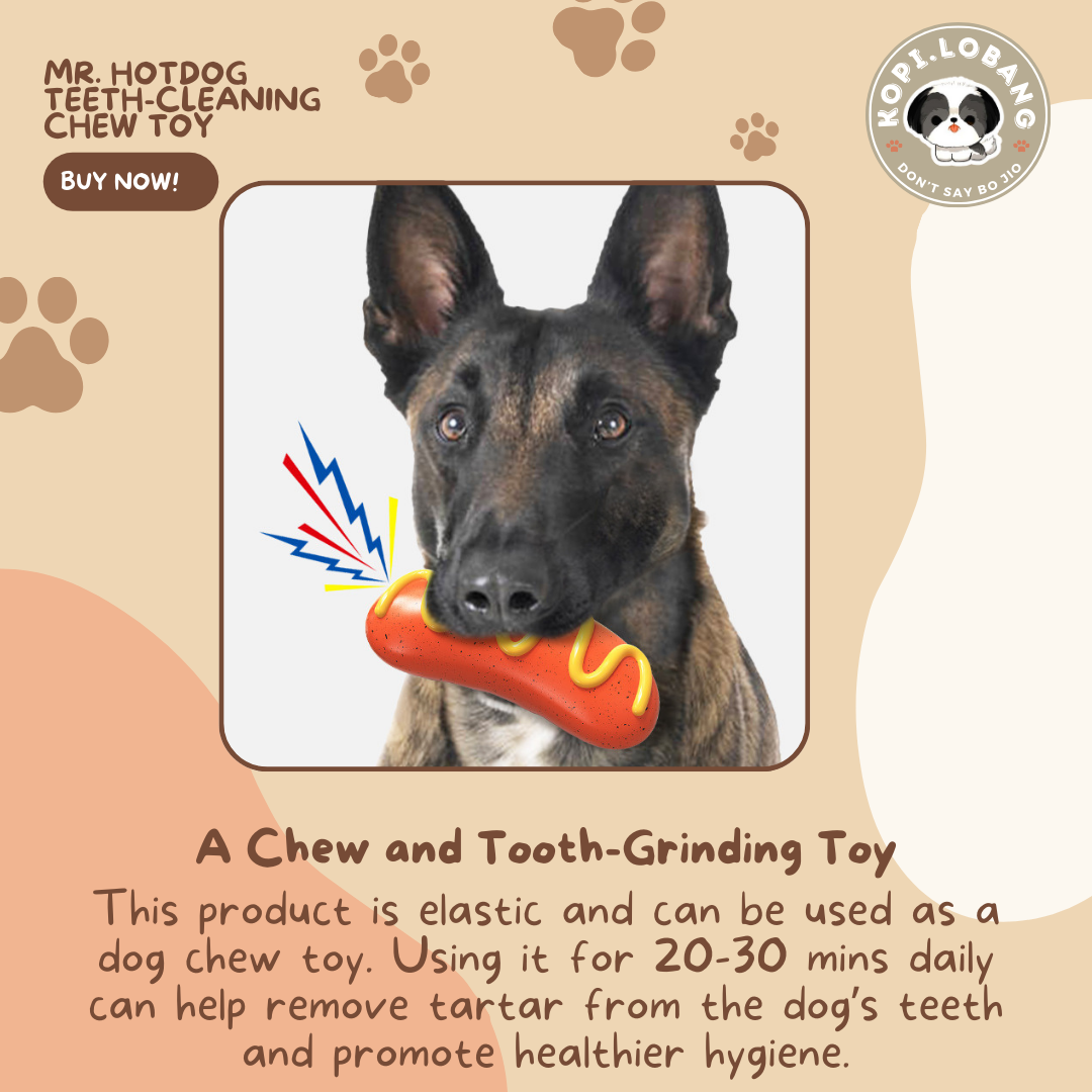 ✅[SG] MR. HOTDOG TEETH-CLEANING CHEW TOY ★ FREE Enrichment Tips & Ideas e-Guide Worth $7 ★ Pet Enrichment ★ SG Stock ★ Kopi Lobang