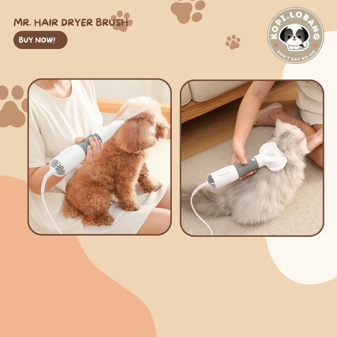 ✅[SG] MR. HAIR DRYER BRUSH ★ FOR DOG AND CAT FREE Enrichment Tips & Ideas e-Guide Worth $7 ★ Pet Enrichment ★ SG Stock ★ Kopi Lobang