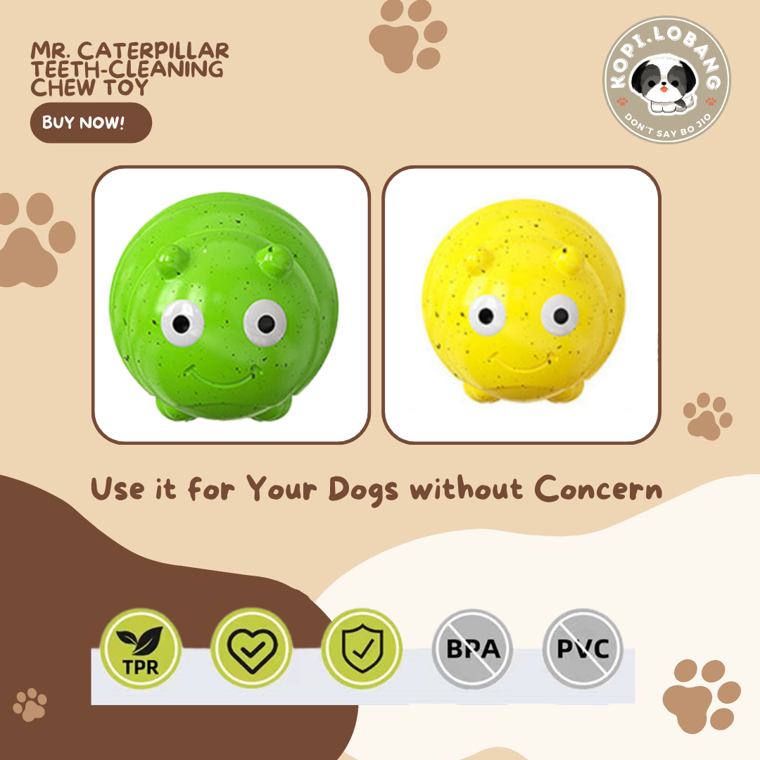 ✅[SG] MR. CATERPILLAR TEETH-CLEANING CHEW TOY ★ FREE Enrichment Tips & Ideas e-Guide Worth $7 ★ Pet Enrichment ★ SG Stock ★ Kopi Lobang