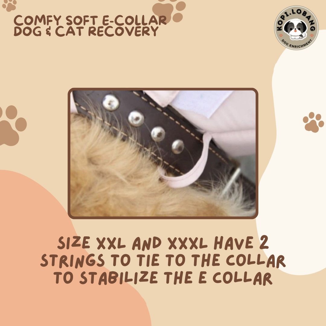 ✅[SG] [FAST] COMFY SOFT E-COLLAR DOG & CAT  RECOVERY CONE ★ FREE e-Guide on 5 Important Tips for Fast Pet Recovery ★