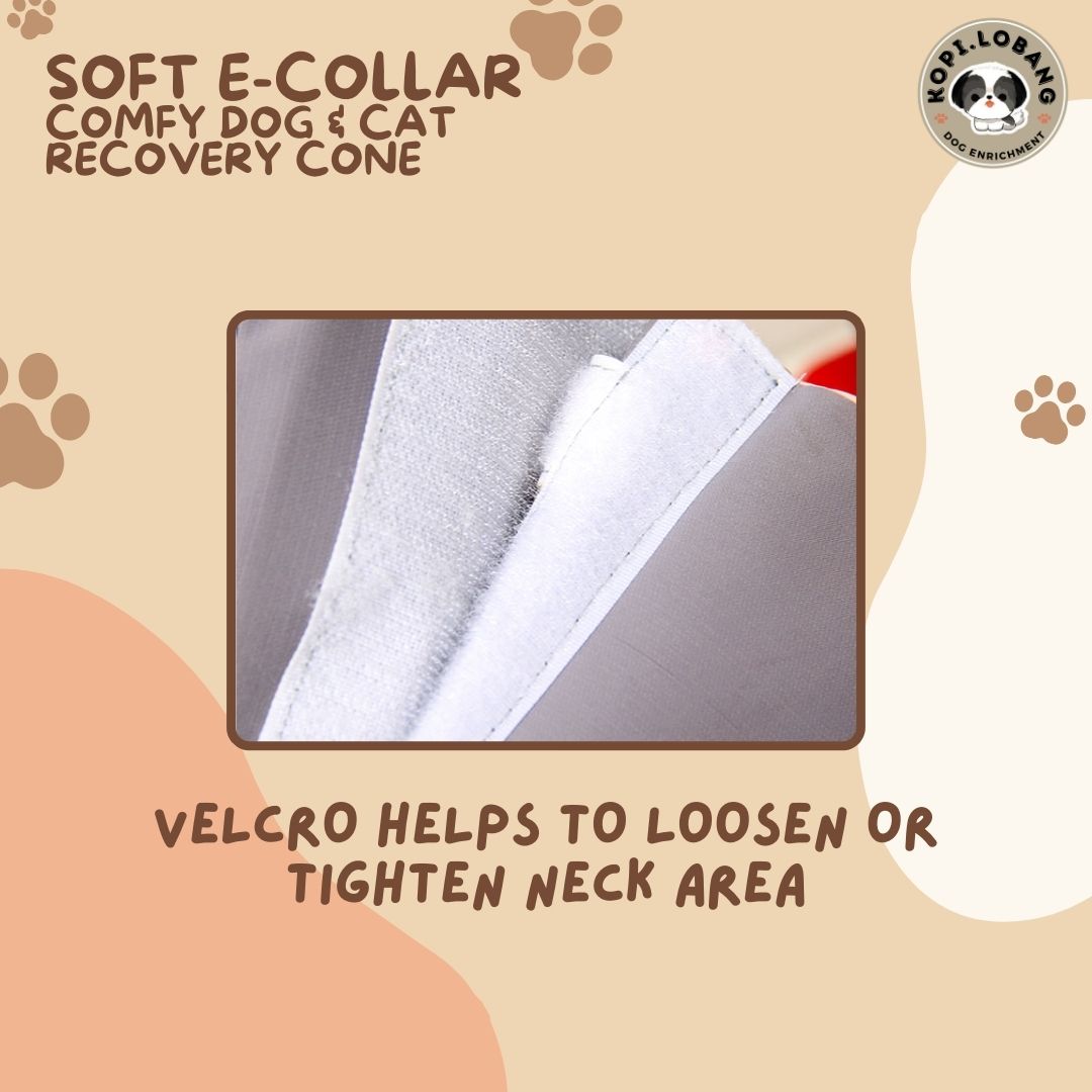 ✅[SG] [FAST] SOFT E-COLLAR COMFY TRIANGLE DOG & CAT RECOVERY CONE ★ FREE e-Guide on 5 Important Tips for Fast Pet Recovery ★