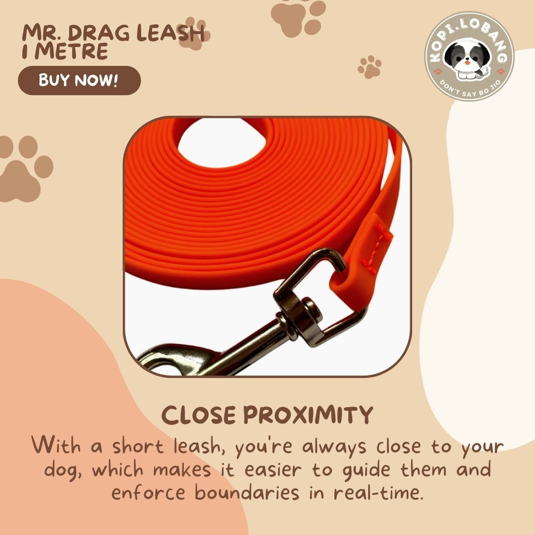 ✅[SG] Mr. Drag Leash 1 Meter For Better Control At Home ★ FREE Enrichment Tips & Ideas e-Guide Worth $7 ★ Enrichment ★ SG Stock ★ Kopi Lobang