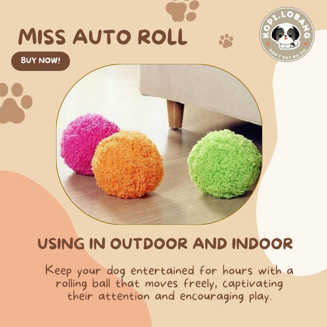 ✅[SG] MISS AUTO ROLL INTERACTIVE WAG BALL ★ Agility Training ★FREE Enrichment Tips & Ideas e-Guide Worth $7★ Enrichment ★ SG Stock ★ Kopi Lobang