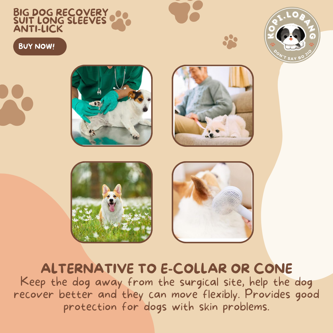 Big Dog Recovery Suit Long Sleeves Anti-Lick