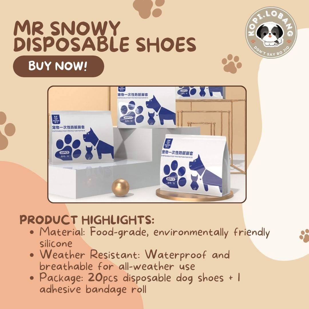 ✅[SG] MR SNOWY DISPOSABLE SHOES ★  FREE E-GUIDE HOW TO LOOSE LEASH WALKING ★ Enrichment ★ SG Stock ★ Kopi Lobang