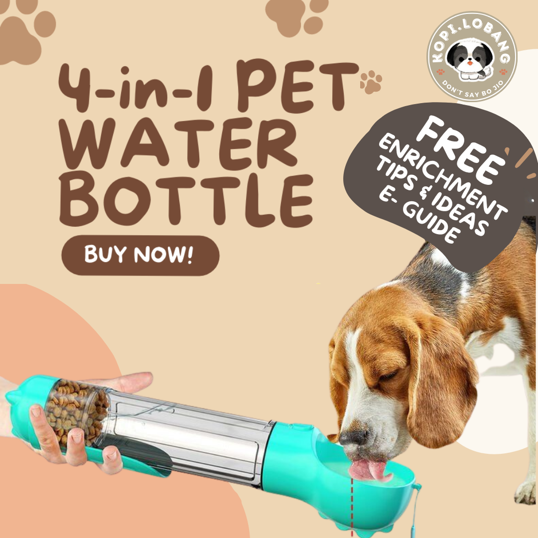 ✅[SG] 4-in-1 PET WATER BOTTLE FOR DOG AND CAT★ FREE Enrichment Tips & Ideas e-Guide  Worth $7 ★ Convenient ★ SG Stock ★ Kopi Lobang